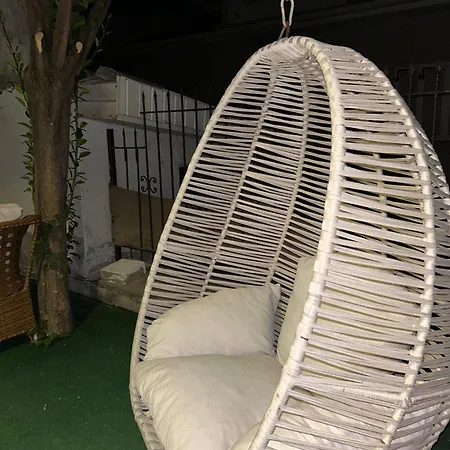 Cord & * 에드레미트