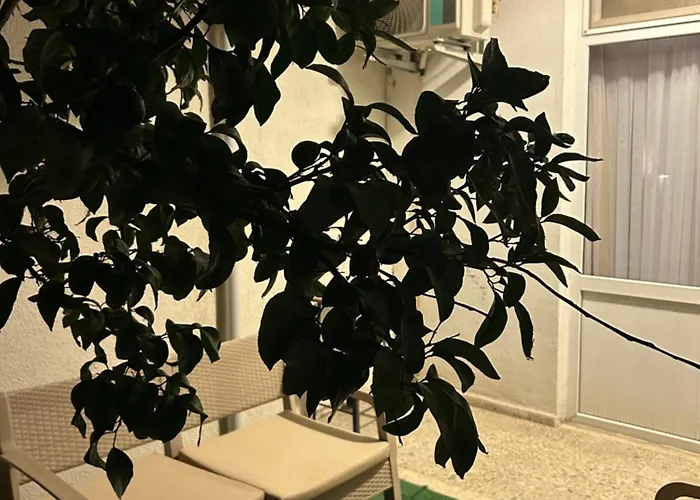 Cord & Hotel Edremit (Balikesir)